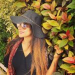 Sakshi Agarwal Instagram - Be honest, be nice Be a flower, not a weed💥 Cafe Chocolatti