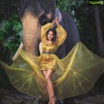 Sakshi Agarwal Instagram - Naayaab Calendar Presented by @fab_by_faiza @abdul33211 This Shot is For November Wardrobe : @fab_by_faiza Photography : @alex_judeson HMUA: @viji_sharath @makeup_sharathbhushan #Concept #Photoshoot #naayab #sakshiagarwal