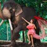 Sakshi Agarwal Instagram - Naayaab Calendar Presented by @fab_by_faiza @abdul33211 Wardrobe : @fab_by_faiza Photography : @alex_judeson HMUA: @viji_sharath @makeup_sharathbhushan #Concept #Photoshoot #naayab #sakshiagarwal #loveforpink