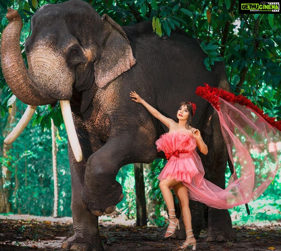Sakshi Agarwal Instagram - Naayaab Calendar Presented by @fab_by_faiza @abdul33211 Wardrobe : @fab_by_faiza Photography : @alex_judeson HMUA: @viji_sharath @makeup_sharathbhushan #Concept #Photoshoot #naayab #sakshiagarwal #loveforpink