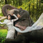 Sakshi Agarwal Instagram - Naayaab Calendar Presented by @fab_by_faiza @abdul33211 This shot is For August - Month Of perfection to learn the bonding of nature & Life . Wardrobe : @fab_by_faiza Photography : @alex_judeson HMUA: @viji_sharath @makeup_sharathbhushan #Concept #Photoshoot #Naayab