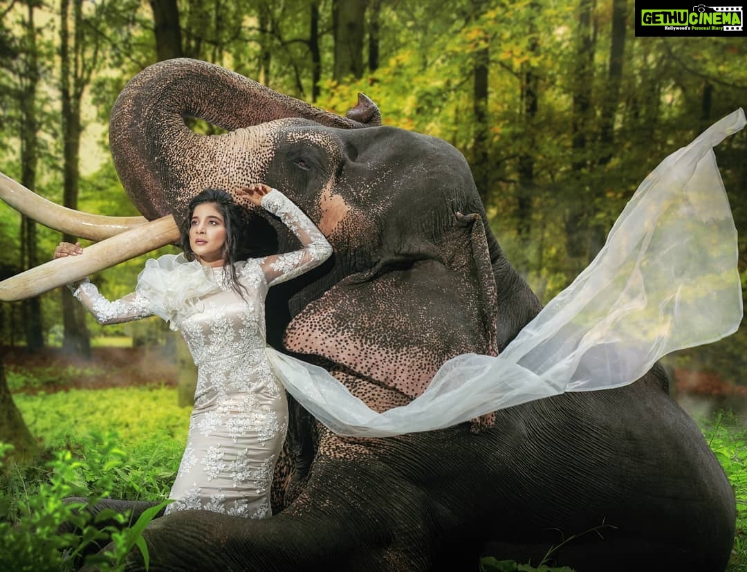 Sakshi Agarwal Instagram - Naayaab Calendar Presented by @fab_by_faiza @abdul33211 This shot is For August - Month Of perfection to learn the bonding of nature & Life . Wardrobe : @fab_by_faiza Photography : @alex_judeson HMUA: @viji_sharath @makeup_sharathbhushan #Concept #Photoshoot #Naayab