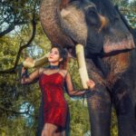 Sakshi Agarwal Instagram - Naayaab Calendar Presented by @fab_by_faiza @abdul33211 This shot is For April Wardrobe : @fab_by_faiza Photography : @alex_judeson HMUA: @viji_sharath @makeup_sharathbhushan #Concept #Photoshoot #naayab