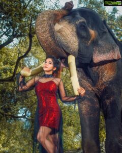 Sakshi Agarwal Instagram - Naayaab Calendar Presented by @fab_by_faiza @abdul33211 This shot is For April Wardrobe : @fab_by_faiza Photography : @alex_judeson HMUA: @viji_sharath @makeup_sharathbhushan #Concept #Photoshoot #naayab