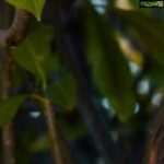 Sakshi Agarwal Instagram -