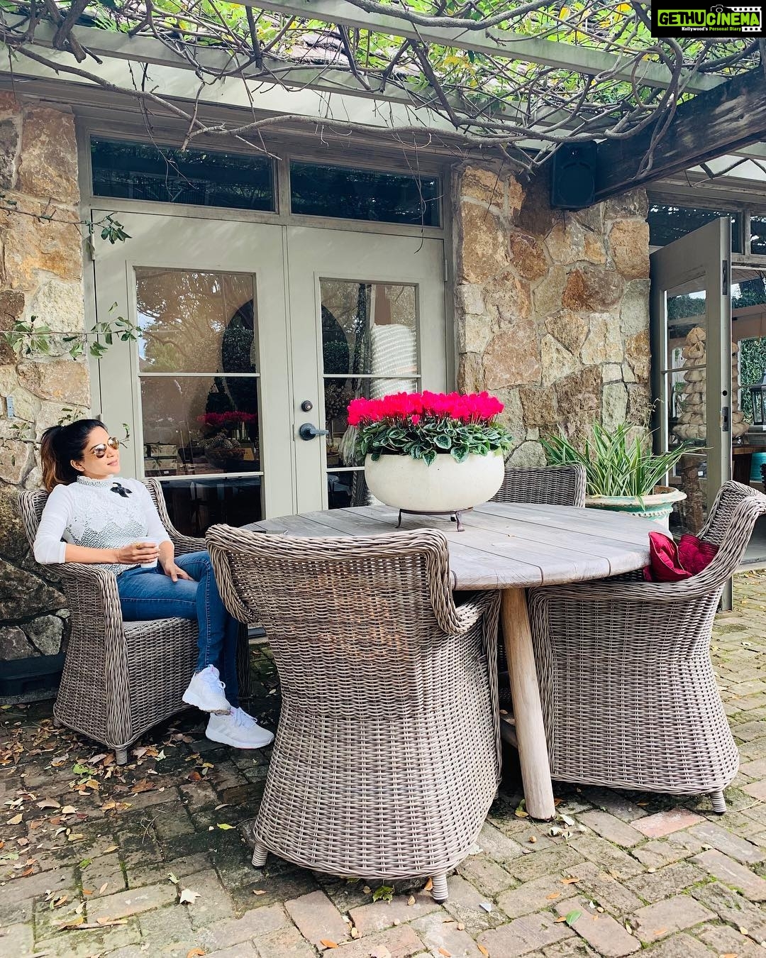 Sakshi Agarwal Instagram - ⭐️⭐️As you travel solo ,being totally responsible for self , its inevitable to discover just how capable how you are⭐️⭐️ #travelphotography #usadiaries #lifeisanadventure #instapic #beautifulplaces #instaplace #instaplants #instalocation #instafashion
