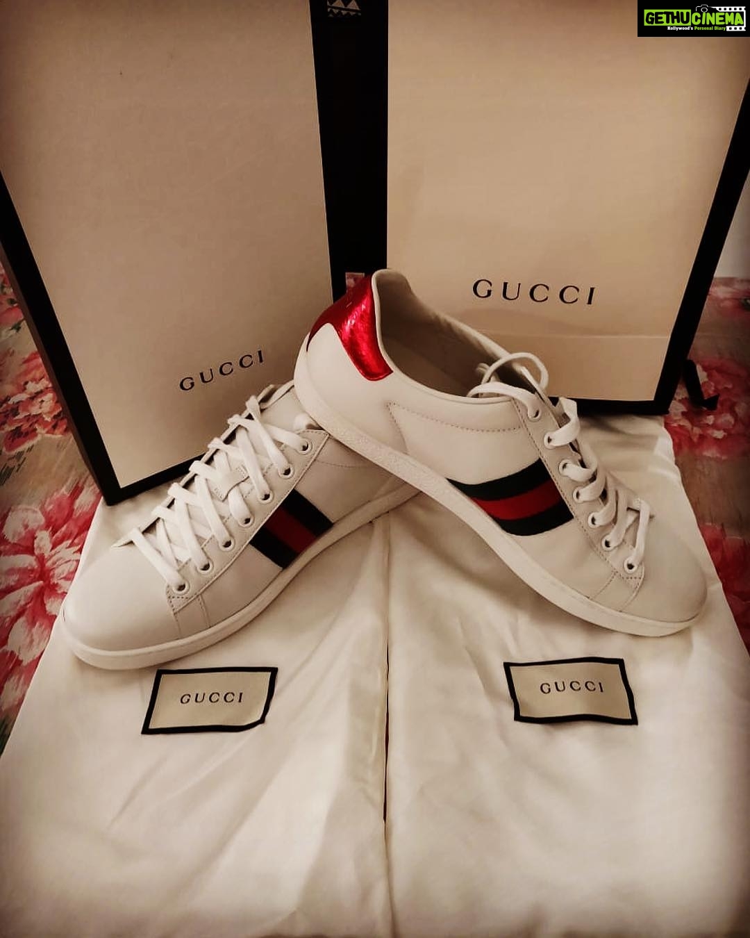 Sakshi Agarwal Instagram - My new babies✨✨✨✨ #guccishoes #gucci #guccisneakers #guccigucci #actorslife #guccisneakers #guccigang #italiangucci #italianbeauty #shoesshoesshoes #shoesaddiction #lovemylife #loveyourself #lovemyguccishoes #leaveittogucci