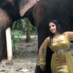 Sakshi Agarwal Instagram – Just when I thought , I was going to get the perfect shot- 
Raja has other plans😂
.
Double-tap if you agree and comment below if you think Raja is troubling me😍
.
#throwback #feelitreelit #instagramreels #trendingvideos #trendingsongs #explorepage✨ #drake #elephantvideos #nature #adventure #wildlife Kerala