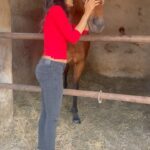 Sakshi Agarwal Instagram - Finally exploring my passion for this beauty❤️ . Thanks to @visheshputtanna @pranaykaliappan . #horsereels #horseriding #reelsinstagram #horseriding #horsesofinstagram #goldenstallion #horsestable #horsereel #explorepage #explore #sakshiagarwal #horsestable Madras Race Club Race Park