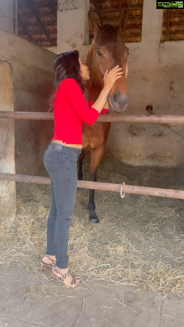 Sakshi Agarwal Instagram - Finally exploring my passion for this beauty❤️ . Thanks to @visheshputtanna @pranaykaliappan . #horsereels #horseriding #reelsinstagram #horseriding #horsesofinstagram #goldenstallion #horsestable #horsereel #explorepage #explore #sakshiagarwal #horsestable Madras Race Club Race Park