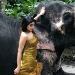 Sakshi Agarwal Instagram - Throwback baaaaaack to time when I got scared of Raja😂 . #reelsinstagram #fashion #lifetsyle #throwback #reelkarofeelkaro #feelitreelit #malyalamsongs #kerela #godsowncountry #explore #explorepage #elephant #elephantphotoshoot