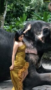 Sakshi Agarwal Instagram - Throwback baaaaaack to time when I got scared of Raja😂

.
#reelsinstagram #fashion #lifetsyle #throwback #reelkarofeelkaro #feelitreelit #malyalamsongs #kerela #godsowncountry #explore #explorepage #elephant #elephantphotoshoot
