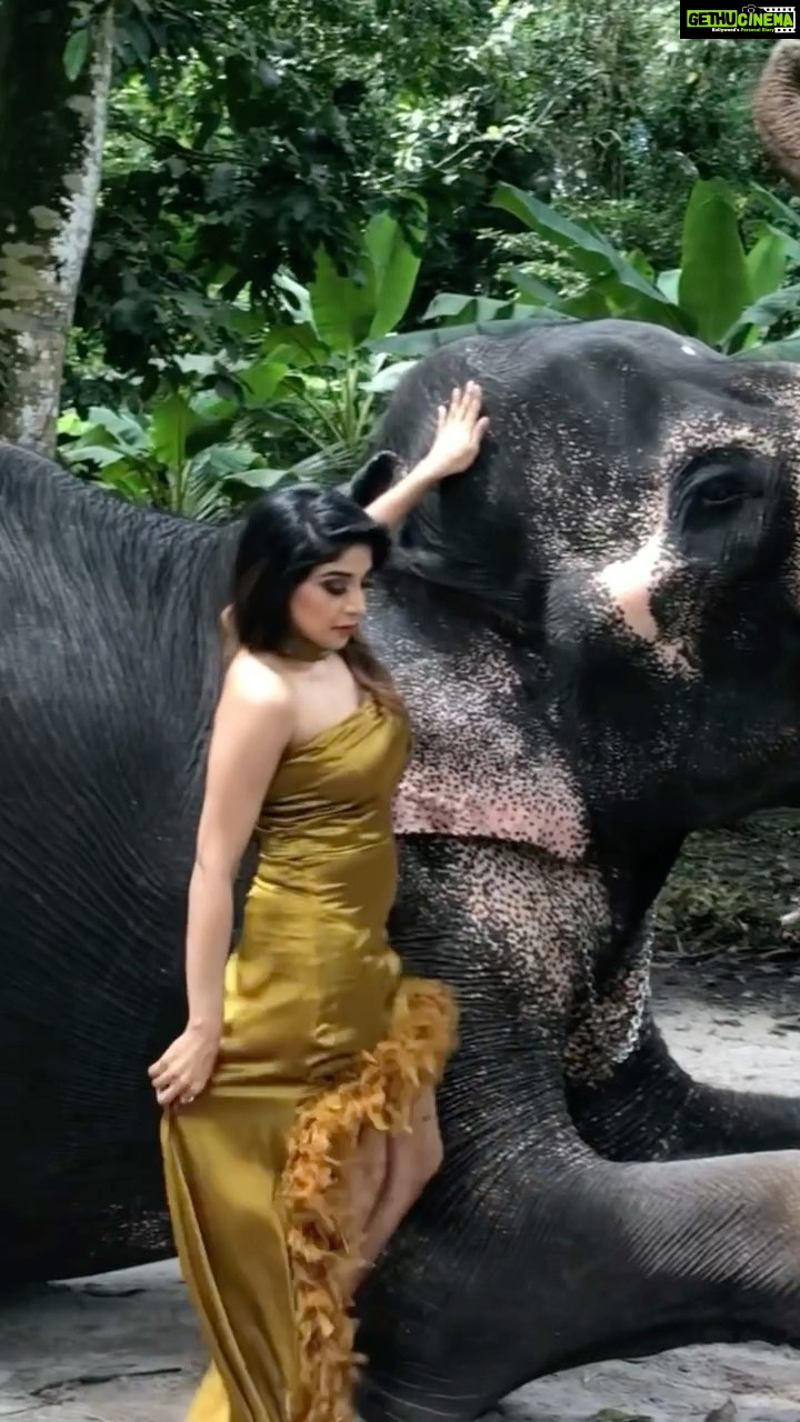 Sakshi Agarwal Instagram - Throwback baaaaaack to time when I got scared of Raja😂 . #reelsinstagram #fashion #lifetsyle #throwback #reelkarofeelkaro #feelitreelit #malyalamsongs #kerela #godsowncountry #explore #explorepage #elephant #elephantphotoshoot