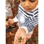 Sameera Reddy Instagram – #didyouknow These little green coffee beans were bought from Yemen to Chikmagalur, Karnataka in 1670 by an Indian Sufi saint named “Baba Budan”. Way before the East India company! That’s how you got your cuppa this morning ☕️ #internationalcoffeeday #funfact #coffee #india #chikmagulur #karnataka #history #bababudan #coffeeholic #coffeebean #coffeecoffeecoffee Coffee City Chickmagalur