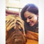 Sameera Reddy Instagram – Pablo will you be my best friend ?
This beautiful English mastiff really stole my heart ❤️ he has the biggest personality & is such a gentle and kind soul ! My son completely smothered him and he was such a gentleman about it 🐶@vdhaul_taragi you really are a lucky gal ! .
.
.
.
.
.
#dogsofinstagram #dog #dogs #dogstagram #englishmastiff #pablo #bigdog #gentleman #love #mansbestfriend #bollywood #mom #keepingitreal