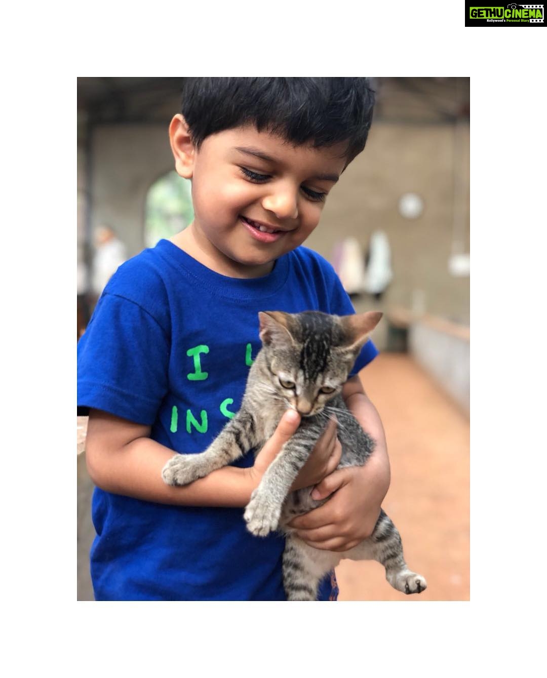 Sameera Reddy Instagram - There is no time to be bored in a world as beautiful as this ❤️ . . . #nofilter #iphonex #travelgram #cats #cat #kitten #myson #catlover #hansvarde Belgaum