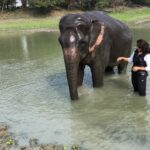 Sameera Reddy Instagram – Memories of #Assam #diphlulodge #kaziranga #elephant #travel #travelgram #indiatravelgram #nofilter #video #slowmotion #iphoneonly #instagood #travelbug #incredibleindia #india #traveling #traveller #traveler #sameerareddy Diphlu river lodge Kaziranga