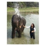 Sameera Reddy Instagram – Happiness is being bathed by an elephant ! ❤️
Go where you feel most alive . Kaziranga national Park, Assam.
.
.
.
.
#incredibleindia #india #travel #travelgram #elephant #bath #indiatravelgram #assam #kaziranganationalpark #kaziranga #diphlulodge #discover #northeastindia #sameerareddy Diphlu river lodge Kaziranga