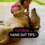 Sameera Reddy Instagram – BFF Hangout Tips by #naughtynyra ✔️1.First Ask Nicely 2.👉🏼Tickle their ears☝🏼3.Try sitting on them 🤣 not working ? Don’t worry we will be back with more tips! #messymama #terrifictommy #bestie #babygirl #bff #momlife #fun #moments 🎉🐕