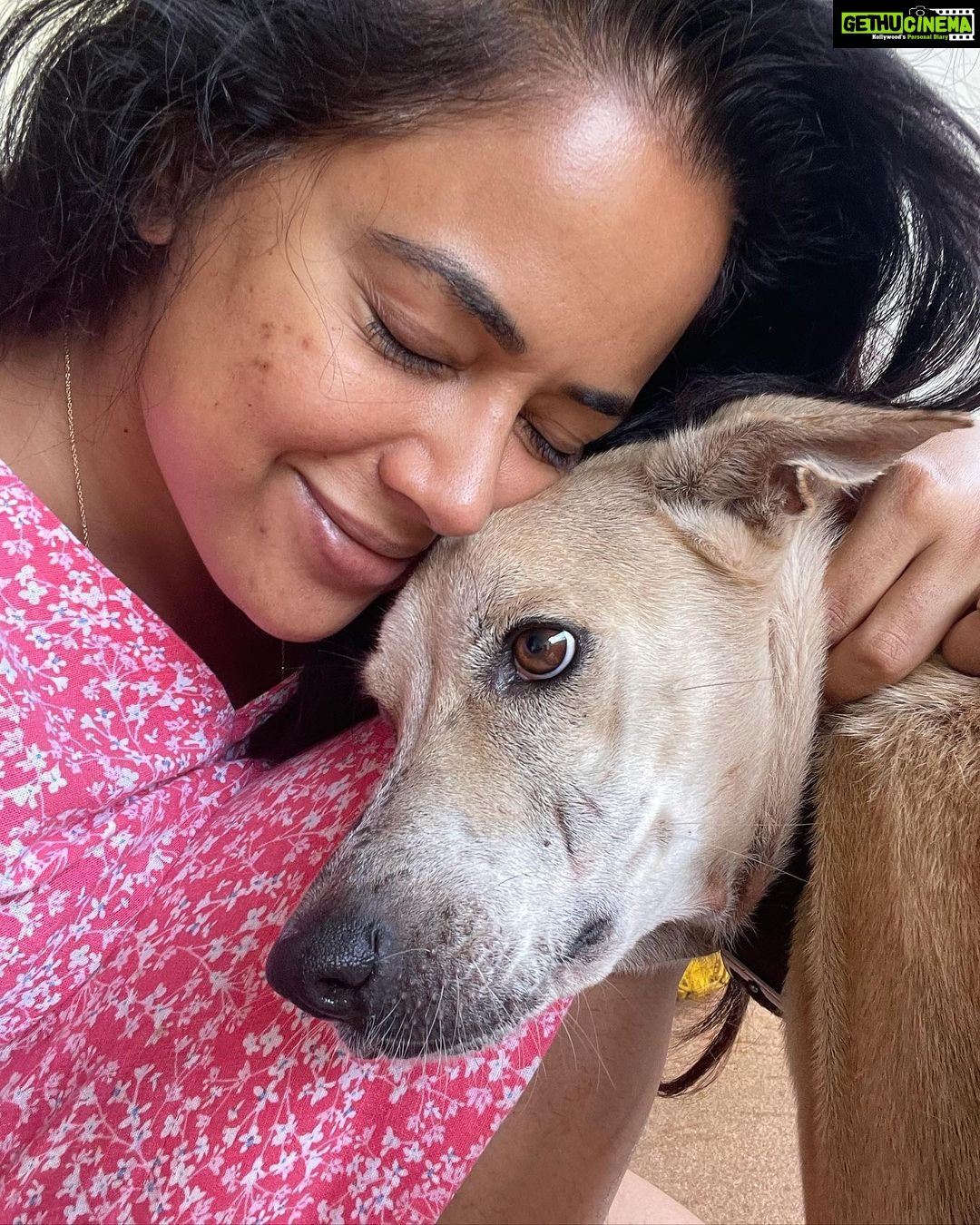 Sameera Reddy Instagram - Who looks sleepier?๐ด weโve had a rough few days with Cyclone Tauktae with no electricity and crazy rain ๐ง Poor Tommy has been mortified with the wind flinging everything around! ๐ Animals are so sensitive and need some extra lovin at times like these โค๏ธ #morningface #sleepy #messymama #terrifictommy ๐ #cyclonetauktae #goa โก๏ธ๐งโ๏ธ