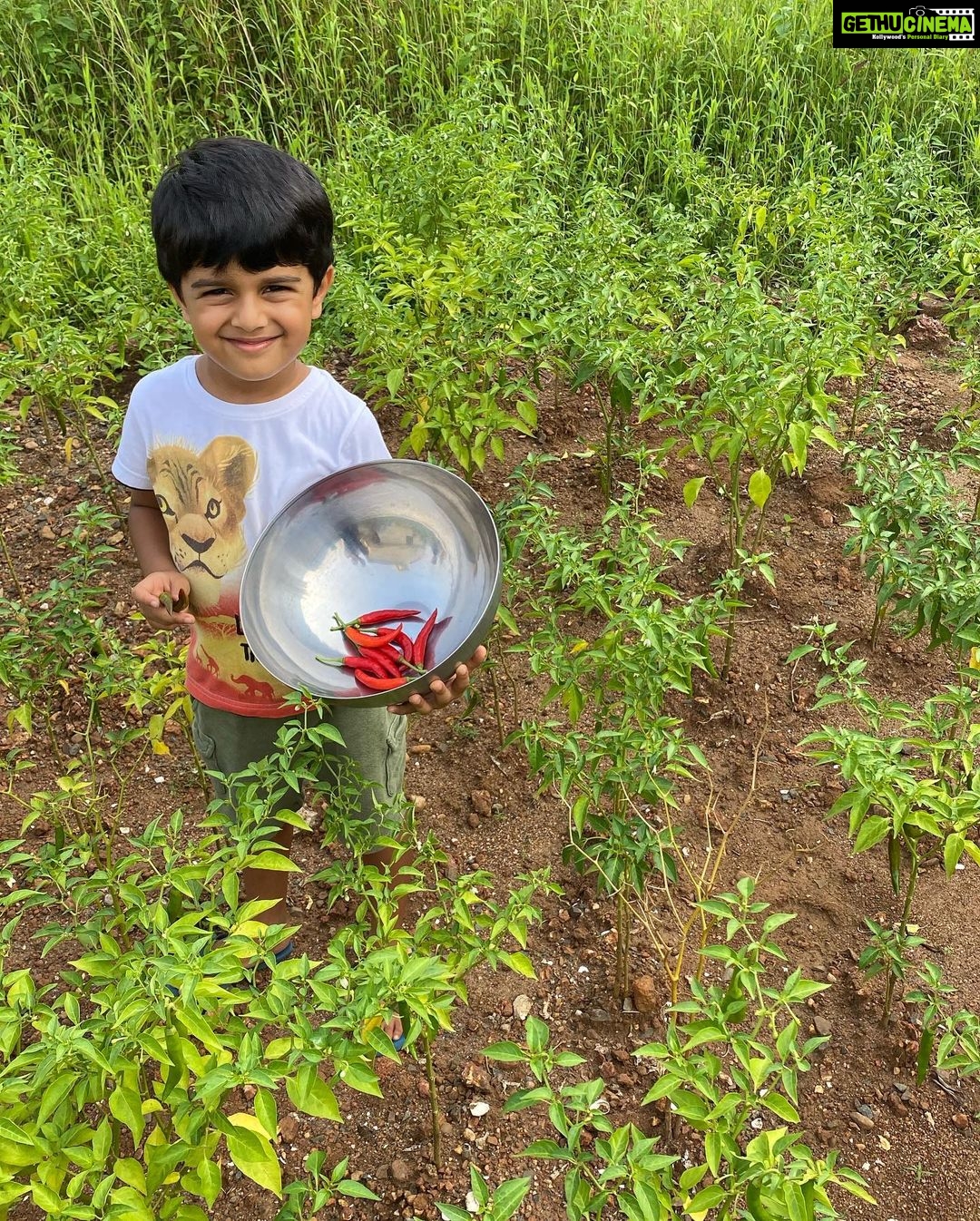 Sameera Reddy Instagram - We have a small patch where we try and grow some vegetables and I cannot tell you how fulfilling it is to pluck your own produce 🌽 Being a Mumbai girl I guess I never experienced this and it’s such a great activity for kids . I’m inspired by the numerous stories I’ve heard of people growing produce in their balconies / terraces. Even a simple micro green on the windowsill . And I really want to explore it more because I can see Hans enjoying the experience . ❤️ #Sundayfunday #messymama #happyhans #farming #chilli 🌶 #positivevibes #sunday #imperfectlyperfect #momlife Goa