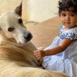 Sameera Reddy Instagram - Nyra & #bff Tommy’s bond is pure unconditional love😍melts my heart❤️ #naughtynyra #terrifictommy #friendship #goals #doglife #bestfriends #dogsofinstagram #messymama #momentslikethese 🎈
