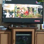 Sanam Shetty Instagram - My Kannada film Atharva is being aired on UTV movies in Hindi right now!! Plz watch peeps🤗 Such a pleasant surprise to watch it with my folks😀 Thanks Arun sir and @shiva_seena sir. Wonderful memories @actortejapawan🤗 #atharvakannadafilm #utvmovies