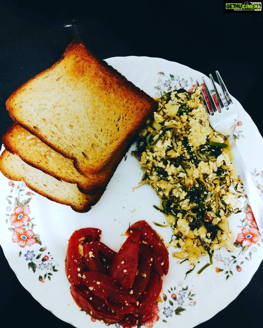 Sanam Shetty Instagram - When uv sacrificed ur Sunday Biryani to diet u at least make it tasty with just a little bit of cheese😀🧀🍞 My fav ricotta cheese with dill leaves, grilled tomatoes and oats bread😌 Goodnight ya'll😴😴 #weightwatching #cheesygirl #sam'skitchen #earlyniteforme #angelsam❤