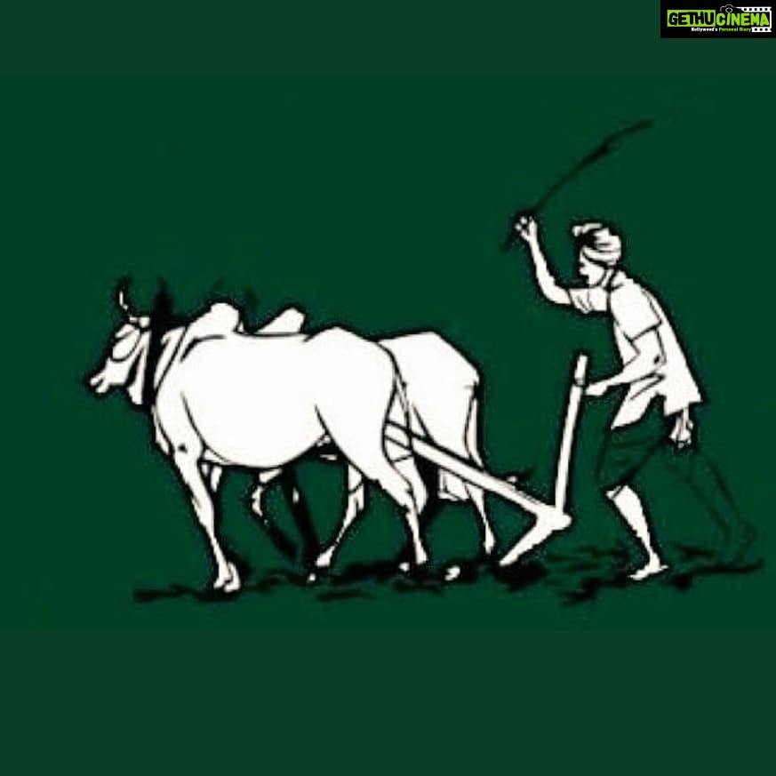Sanam Shetty Instagram - Today on #NationalFarmersDay2020 let's take a bow to all the Indian Farmers whose sweat is our life force🙏 It's not just one day but every morsel of food we eat should remind us of the never ending service but the never ending struggles of our Farmers! #isupportfarmers🌾 #chaudarycharansingh @nam.makkalinkural
