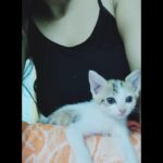 Sanam Shetty Instagram - Happy Weekend peeps🤗😘 From Ikki and me ❤️🐈 #kittielove #cozytimes❄️