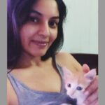 Sanam Shetty Instagram – Nap time 🐾🐾🐈🐈

1 month old kittens. .my new babies Jimmi & Ikki ,❤️❤️

# hellokitties #jimiki