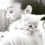 Sanam Shetty Instagram - Just ❤️😻!! This perfect capture by @anithaalex007 mam😘🤗 #babykittie #christmasgifts #purelove❤️