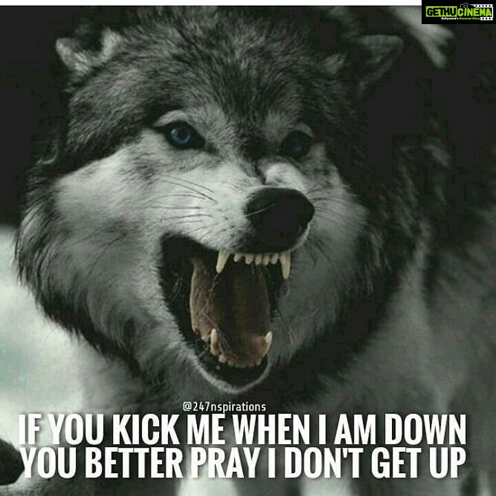 Sandra Amy Instagram - I found ths quote as d frst quote f d yearππ d bad twinβ n me s ππ