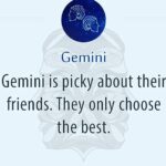 Sandra Amy Instagram - I pick my frnds... ♊ 😇