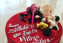 Sandra Amy Instagram - Our angels(pathu and meenu ) turned one👭👭👭🤩🤩🤩🥰🥰 the fastest yr wt lots f happiness,blessed,love,pain,realizations, tiredness went thru all d traumas in life.our babies teached us not to depend anyone.be strong and hold each other,finally life turned up the most beautiful one😍😍😍😍 🧚‍♀️🧚‍♀️no relatives r family wre ready to wish them on their day.bg the whole world blessed and wished them on their day.what else we want in life for our babies 💝💝@prajinpadmanabhan #blessedparentsintheworld