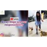 Sanjjanaa Instagram - @sanjjanaagalrani loves animals .. & cares for them .. I stand for Stray Animals , & belive the strays in my locality are my own responsibility , Do you believe in loving & feeding the strays ???