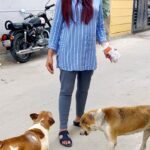 Sanjjanaa Instagram - Announcing #ilovestrays program by #Sanjjanaagalranifoundation . Feeding the stray animals gives me immense pleasure & inner peace . It’s a self - healing process for me to help the helpless , in fact I’m on a serious thought to start feeding the strays in a regular program named #ilovestrays through #sanjjanaagalranifoundation @sanjjanaafoundation . We are also seeking help from volunteers living in a & around indiranagar area in #bengaluru who truly love strays & feel the same compassion & sympathy as us towards feeding strays through our weekly program at #sanjjanaagalranifoundation . To start with we are looking at feeding them only every saturdays of the week , followed by serving them weekly twice / or a thrice with #ilovestrays program if situation permits and if we could build with more active volunteers & resources . Wish us luck to flourish in our agenda , sanjjanaafoundation@gmail.com . Bangalore, India