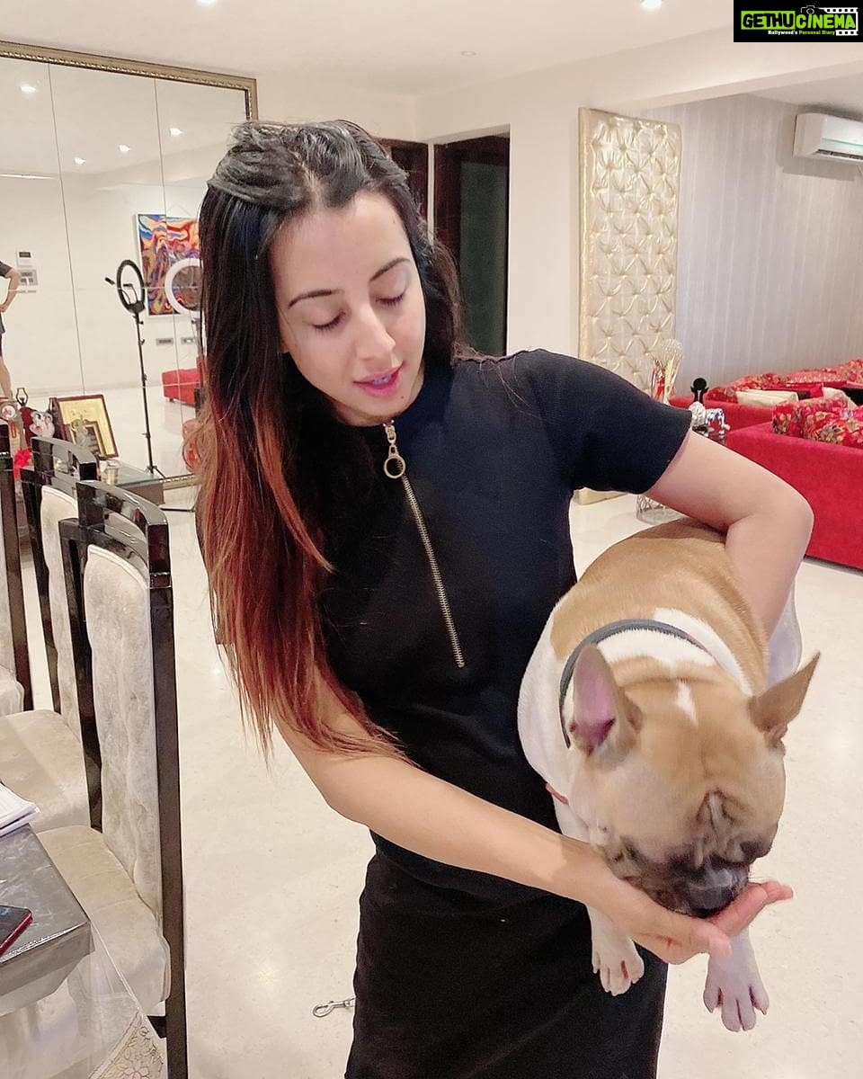 Sanjjanaa Instagram - During #quarantinedays , we got lots of doggie kisses πΆππ