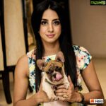 Sanjjanaa Instagram - A cutie in disguise cheers up your evening. #SanjjanaaGalrani #MujhseShaadiKaroge #TeamSanjjanaa #paraskishaadi @colorstv @voot @helo_indiaofficial