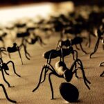 Santhosh Prathap Instagram - The greatest enemies of 🐜 are other 🐜, just as the greatest enemies of human are other human 👿☠️👊🏼 #humanrace #lifelessons #worstbehavior 😜 India