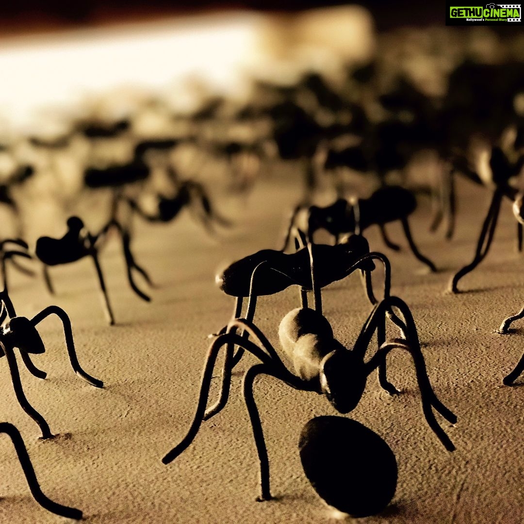 Santhosh Prathap Instagram - The greatest enemies of 🐜 are other 🐜, just as the greatest enemies of human are other human 👿☠️👊🏼 #humanrace #lifelessons #worstbehavior 😜 India