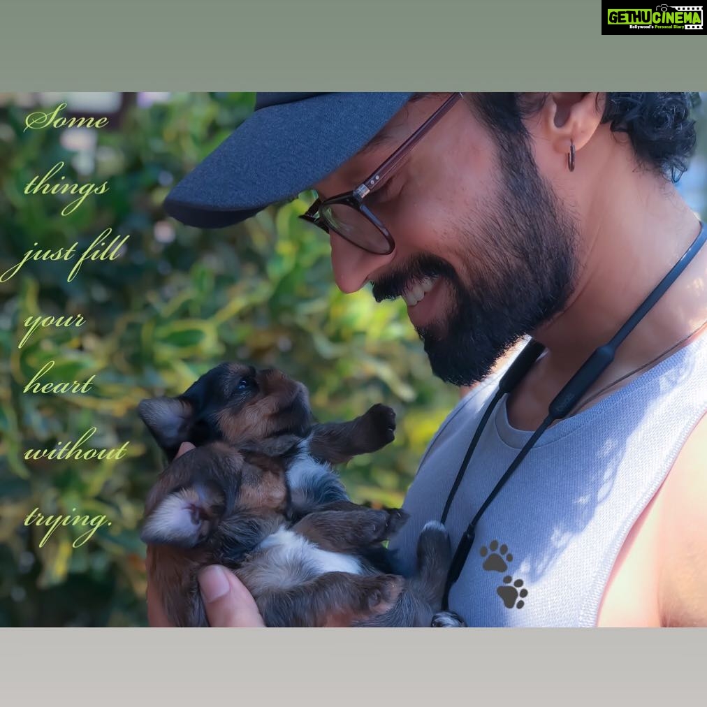 Santhosh Prathap Instagram - 🐶🐾 + Me = ❤️ #puppylove #yorkshireterrier