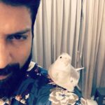 Santhosh Prathap Instagram - God loved the birds and invented trees 🌳 Man loved the birds and invented cages 🗝 🤦🏻‍♂️👉🏼🕊 #flutter #freedom #powerdbygod #liveandletlive
