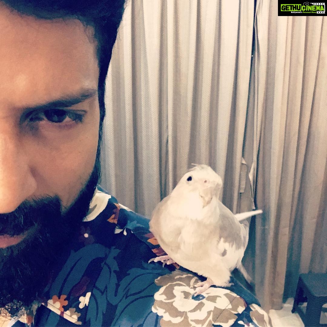Santhosh Prathap Instagram - God loved the birds and invented trees π³ Man loved the birds and invented cages π π€¦π»ββοΈππΌπ #flutter #freedom #powerdbygod #liveandletlive