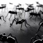 Santhosh Prathap Instagram - The greatest enemies of 🐜 are other 🐜, just as the greatest enemies of human are other human 👿☠️👊🏼 #humanrace #lifelessons #worstbehavior 😜 India