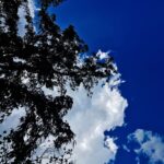 Santhosh Prathap Instagram - The sky 🌌 is an infinite Movie 🎥 to me. I never get tired Of looking at what's Happening up there... #part2 #skyporn #naturelove #highonlife #visualsoflife #flight Madras Chaat Bazaar