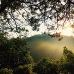 Santhosh Prathap Instagram - "She is beautiful and terrifying at the same time like nature itself." #mothernature #wonderlust #morningslikethese #mesmerizing #neverending