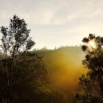 Santhosh Prathap Instagram - "She is beautiful and terrifying at the same time like nature itself." #mothernature #wonderlust #morningslikethese #mesmerizing #neverending