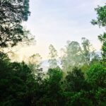 Santhosh Prathap Instagram - "She is beautiful and terrifying at the same time like nature itself." #mothernature #wonderlust #morningslikethese #mesmerizing #neverending