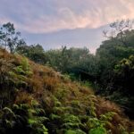 Santhosh Prathap Instagram - "She is beautiful and terrifying at the same time like nature itself." #mothernature #wonderlust #morningslikethese #mesmerizing #neverending